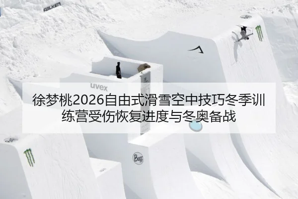xu-meng-tao-zi-you-shi-hua-xue-kong-zhong-ji-qiao-dong-ji-xun-lian-ying-shou-shang-hui-fu-jin-du-yu-dong-ao-bei-zhan-3-882.jpg