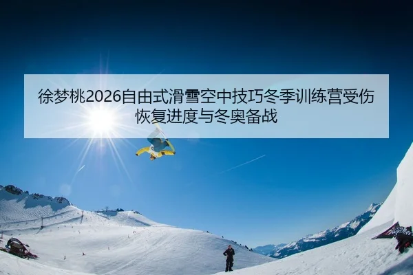 徐梦桃2026自由式滑雪空中技巧冬季训练营受伤恢复进度与冬奥备战